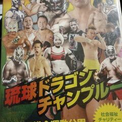 琉球ドラゴンプロレスチャンプルー