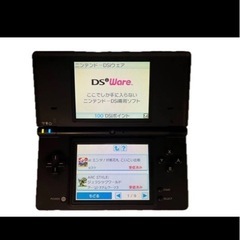 ds 再DL可能ソフト 17個の画像