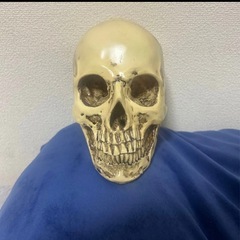骸骨置物の画像