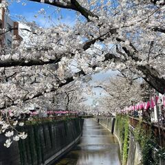〜お友達の募集〜