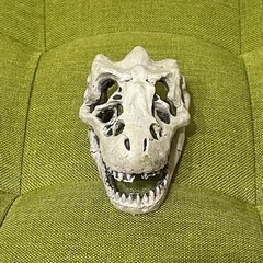 水槽用オブジェ　恐竜　の画像