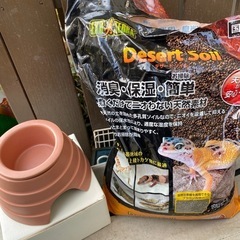 飼育セット