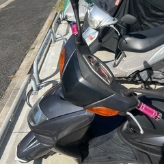 シグナス1型の画像