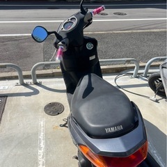 シグナス1型の画像