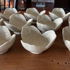 華やかな小鉢10個セットの画像