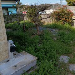 常磐湯本_庭の雑草を除草してくださいませんか【謝礼 3000円】