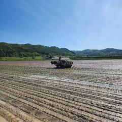 田植えスタッフ募集！の画像
