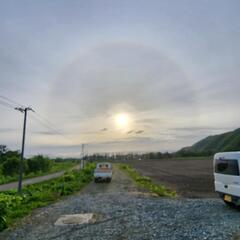 田植えスタッフ募集！の画像
