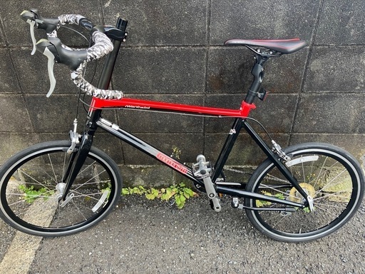 4/20〜4/27処分　ミニベロロード