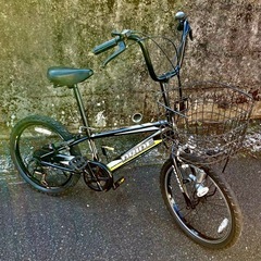 ※プロフィール必読【鹿児島県の方に】元子供車・２０インチ・アップ...