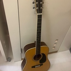Cat's Eye アコースティックギター