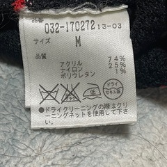レディーストップスMの画像
