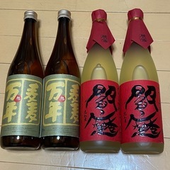 新品　赤閻魔　2本 新品　麦麦旭万年　2本 【４本セット】