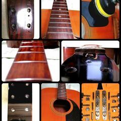 ★Japanese vintage guitar★Elite★Takamineの画像