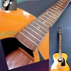 ★Japanese vintage guitar★Elite★T...
