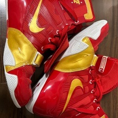 NIKE ハイパーKOの画像
