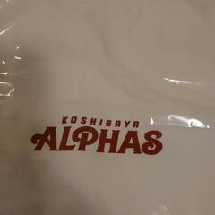 定価3300円！！越谷アルファーズ新品未使用未開封ＴシャツMサイズ白の画像