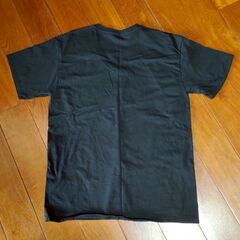 Hanes ヘインズ 2P Pack T-Shirt（2枚入りパック VネックTシャツ）アメカジ アメリカンスタイル 黒Tシャツの画像