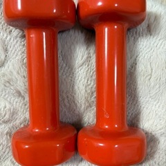 【決定しました】1kgダンベルセット