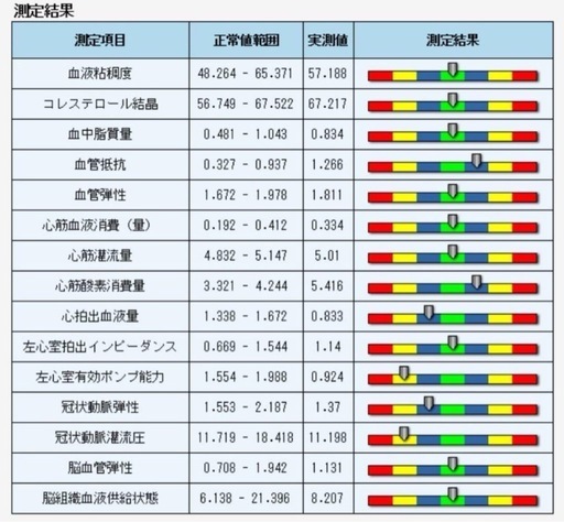 量子アナライザー　波動測定器　波動　量子共鳴　磁気共鳴