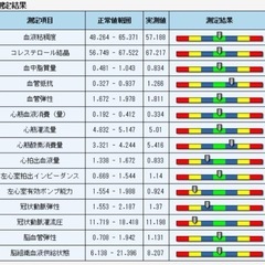 [残り1台値下げ]パソコン付き　波動 測定 量子 磁気 共鳴 アナライザー 量子共鳴磁気アナライザー 波動測定器健康チェックライフ