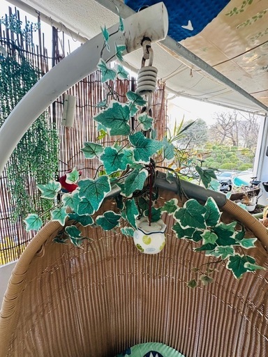 ハンモックチェア 編み込みデザイン 花柄クッション付き