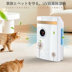 新品未使用除湿機 小型 強力除湿 除湿器 2.2L排水タンク UV除菌 空気清浄じょしつきの画像