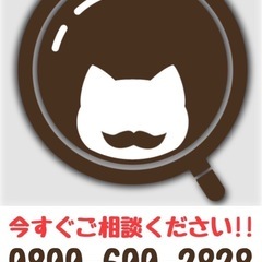 迷子のねこを探す猫探偵。 - ひたちなか市