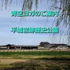 奈良　平城宮跡歴史公園内芝生で青空ヨガ