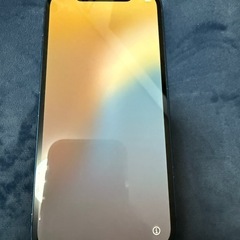 iPhone12 256GB 本体