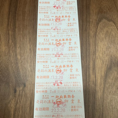 一畑山薬師寺 奇跡の温泉 入泉券