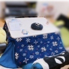 こたつ布団