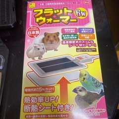 文鳥飼育初心者フルセット！の画像