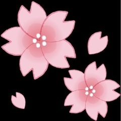 本日24日、登戸周辺をお散歩しましょう♪