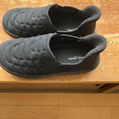 スパっとシューズの画像