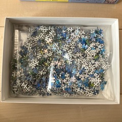 1000マイクロピースジグソーパズルの画像