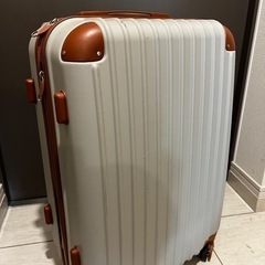 キャリーケース16日とりにきてくれる方の画像