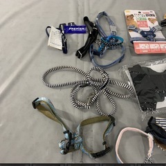 最終価格犬　ハーネス　まとめ売りの画像
