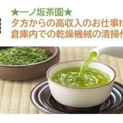 この春イチ押し☆高収入☆日給10,500円(18:00～25:0...