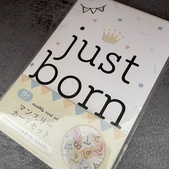 美品　　マンスリーカード