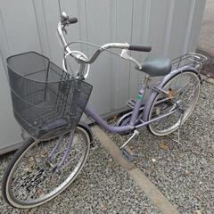 パープル自転車