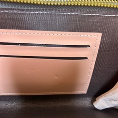 TEMUお財布ショルダーの画像