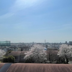 西武池袋線　武蔵藤沢駅　女性専用ルームシェア入居者募集