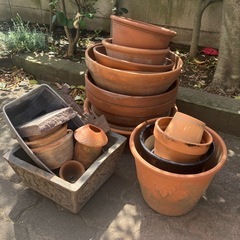 プランター　まとめてお譲りします！