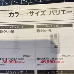 カラー・サイズ バリエーション コパンTシリーズの画像