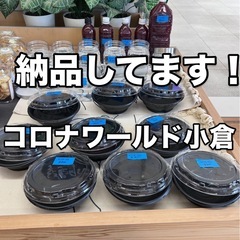 4/8コロナワールド小倉　めだかの画像