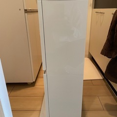 薄型ワイドペダルペール2段の画像
