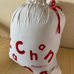 新品 タグ付き 熊 クマ 人形 プレゼントの画像
