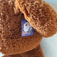 新品 タグ付き 熊 クマ 人形 プレゼントの画像