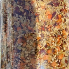 賞味期限2025/7/15　Trevijano キヌア スープ ミックス 900g　スペイン産 スーパーフード キヌアと同じサイズに野菜がカットされた粒々食感のスープの素の画像